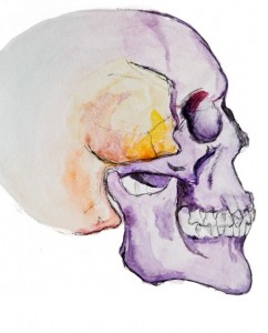 Craniofacial bones-pat